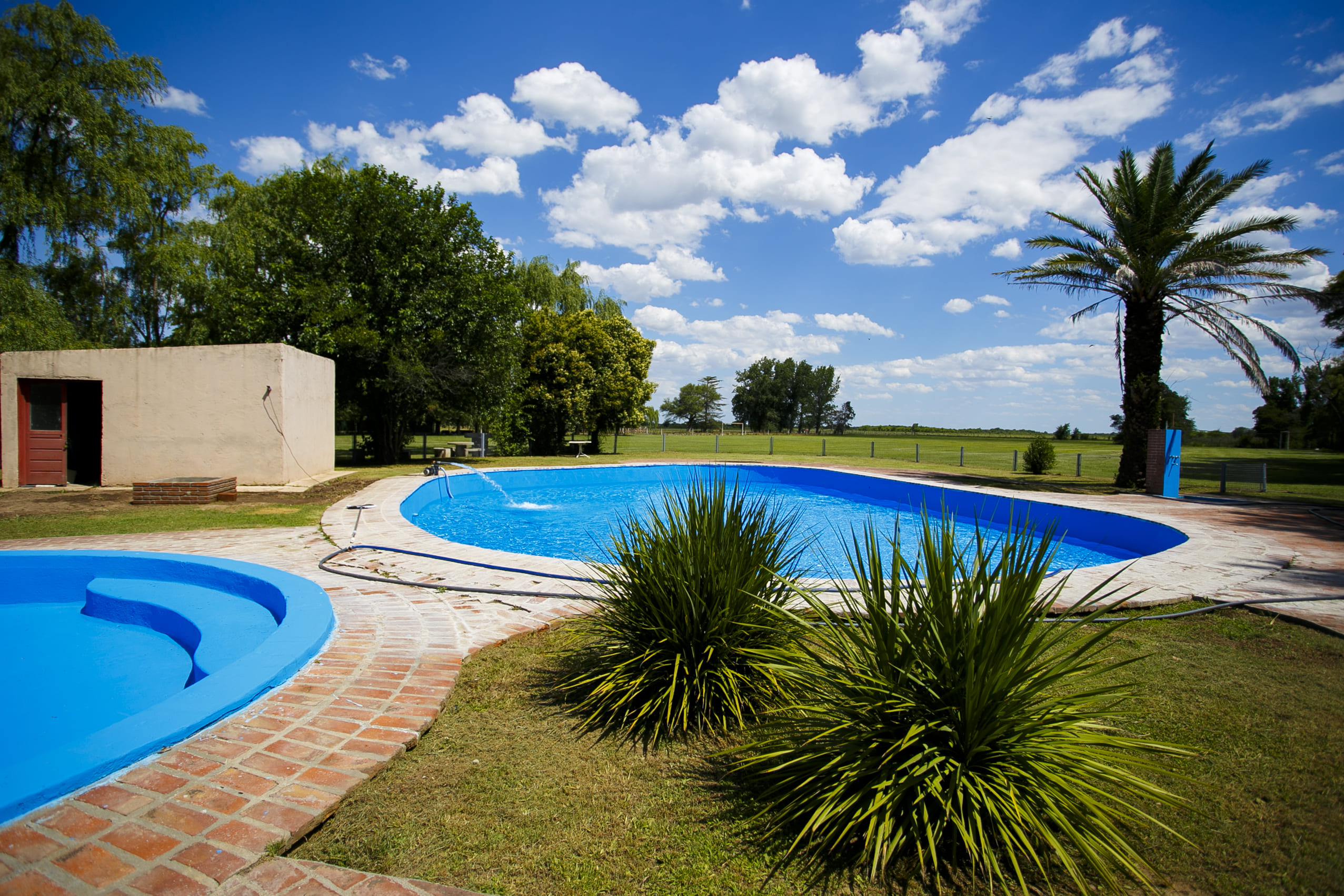 Quincho y espacios verdes del predio